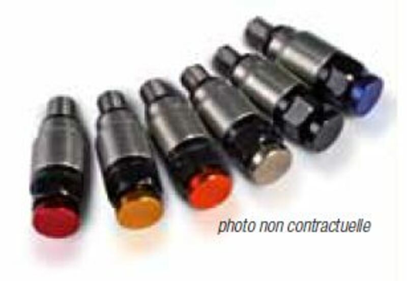 STAINLESS PRESSURE RELEASE VALVE FOR M4X 0,7WP STAINLESS WP FORK - 1081068002