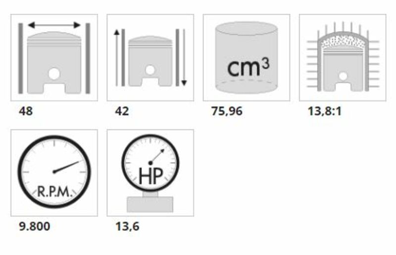 POLINI Cylinder Kit Ã˜54mm 75,96CC Minarelli SER.6000