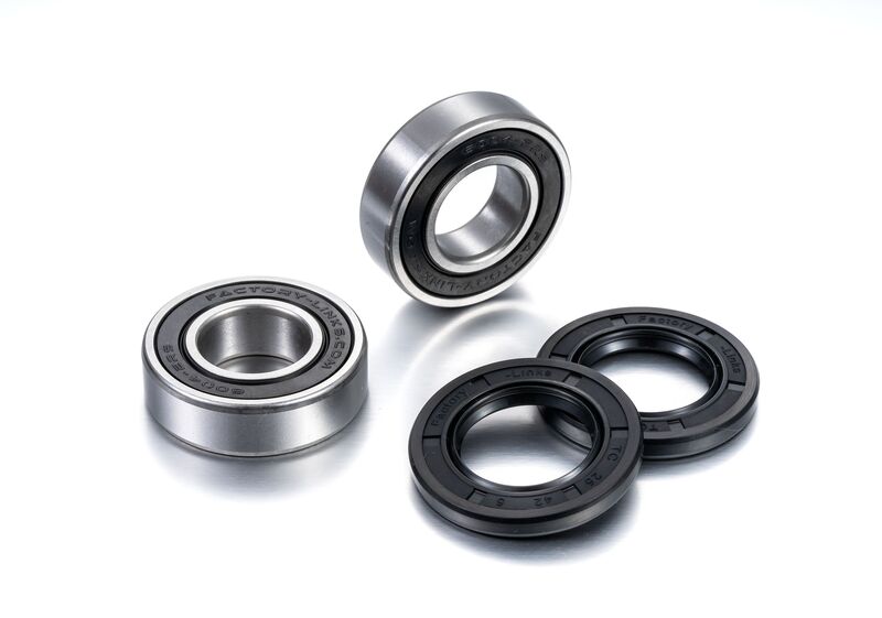 FACTORY LINKS Rear Wheel Bearing Kit - 1091049