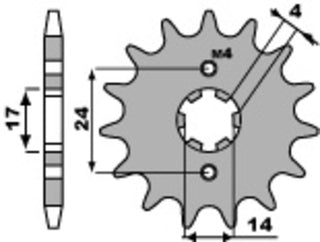 PBR Front Sprocket 13 Teeth Steel Standard 420 Pitch Type 2153 - 1096599001