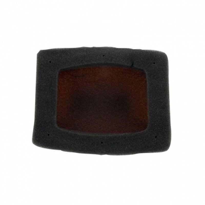 TWIN AIR Air Filter Kit + Inner Cage - 157033C Aprilia - 1098756