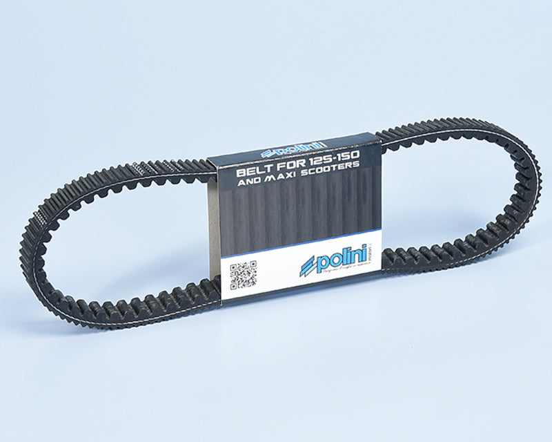 POLINI Transmission Belt