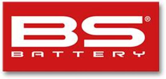 BS BATTERY Small Sticker - 50 pcs