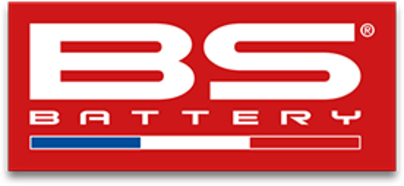 BS BATTERY Small Sticker French Flag - 50 pcs