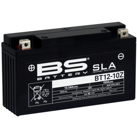 BS BATTERY SLA Battery Maintenance Free Factory Activated - BT12-10Z