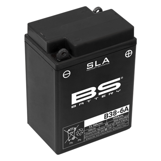 BS BATTERY SLA Battery Maintenance Free Factory Activated - B38-6A