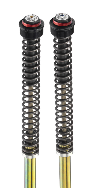 BITUBO TABLE SPRI Fork Cartridges -  without Oil - 1115228