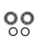 PROX Crankshaft Bearing & Oil Seal Kit - 1117582 - 1117582