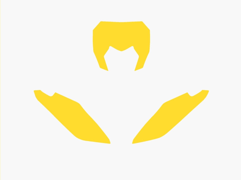 BLACKBIRD Plate Stickers Yellow Fantic XX