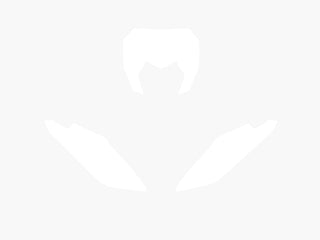 BLACKBIRD Plate Stickers White Fantic XX